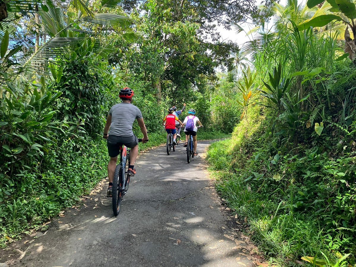 Mountain biking tours in Nature Mountain biking tours in Nature