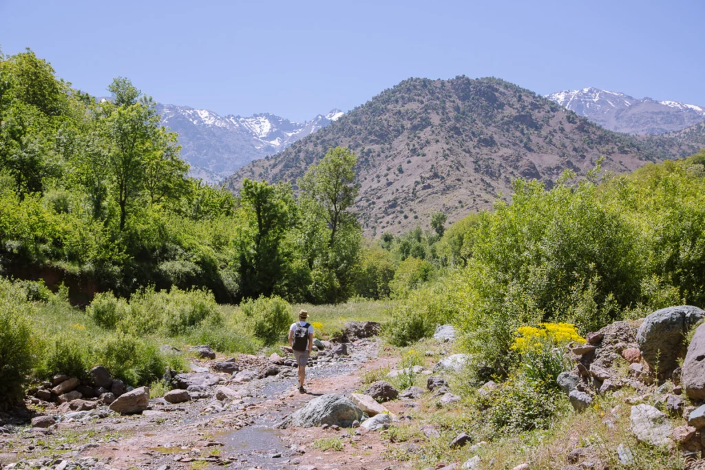 Nature Walks in the Atlas Mountains Morocco Nature Walks in the Atlas Mountains Morocco